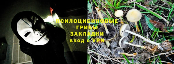 амф Алексин