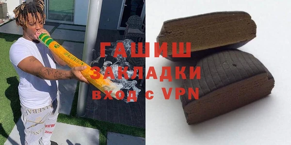 гашик Няндома